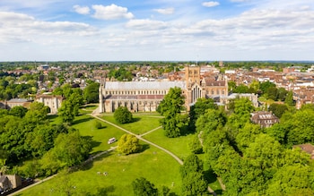 St Albans is planning to cut down 250 more trees