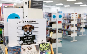 Staff at Colchester Library will be trained on ways to de-escalate disruptive behaviour