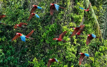 Peru