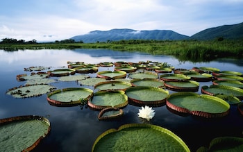 pantanal holidays