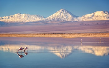 atacama desert chile travel