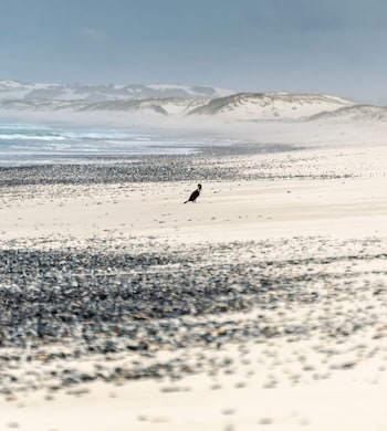 De Hoop beach