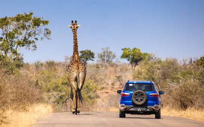 Self driving holiday in South Africa