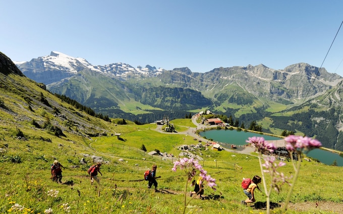 Wandern, Gruppe, Brunni