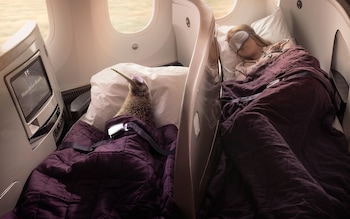 air new zealand business premier beds