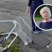 Councillor Janis McDonald (inset) has raised concerns over the number of abandoned shopping trolleys in Paisley