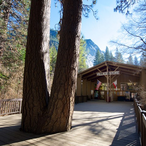Greening Yosemite: Aramark Destinations’ Sustainable Dining Initiatives