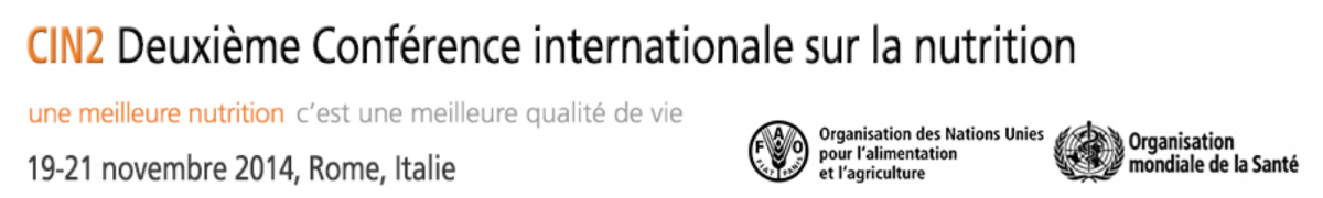 logo_icn2_fr.png