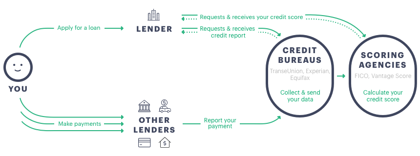 How your credit score is determined