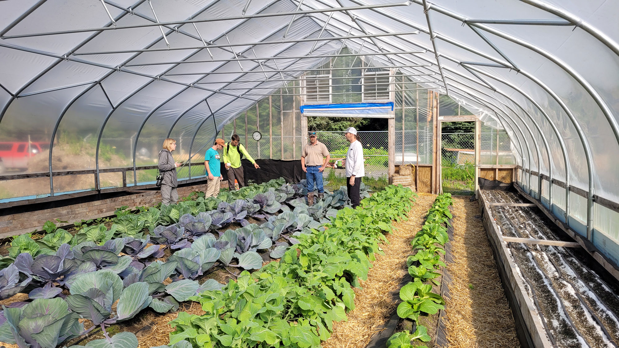 People in a greenhouse