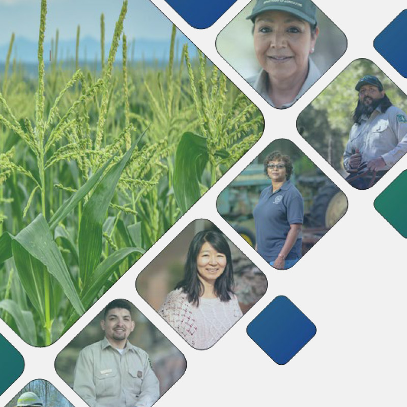 USDA Strategic Plan Report Cover