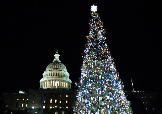 The U.S. Capitol Christmas Tree