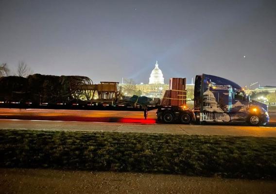 The U.S. Capitol Christmas Tree