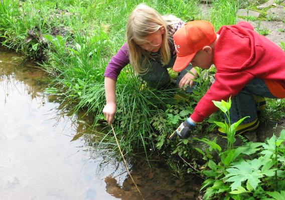 Two young people find frogs on a national forest