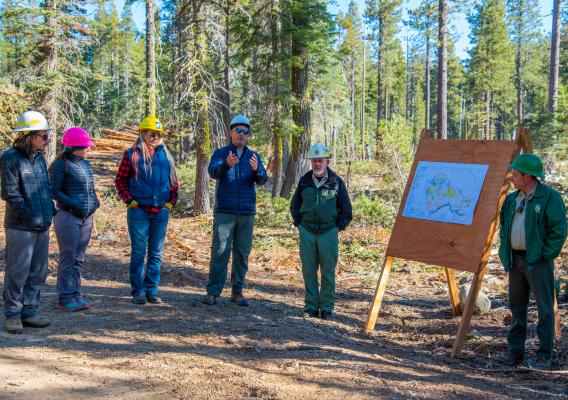 North Yuba Forest Partnership