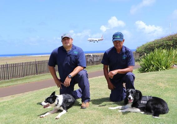 Canine Quade and handler Cliff Silva and canine Quinn and handler Cesar Trinidad