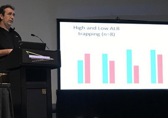 APHIS Researcher, Damon Crook, presenting at ESA on attractants for Asian longhorned beetle