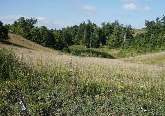 Coal mine reclamation on National Forest System lands on the Wayne National Forest in Ohio