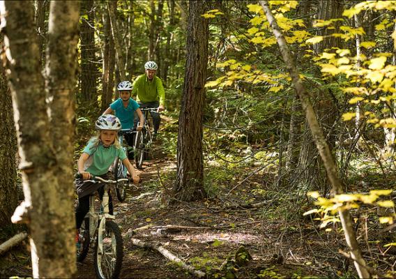 People biking a trail