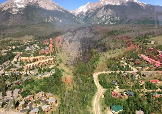 Fuel breaks on the White River National Forest in Colorado