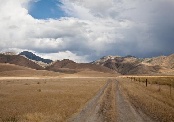 Sagebrush ecosystem in north central Nevada