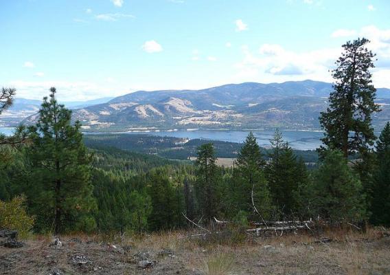 Colville National Forest