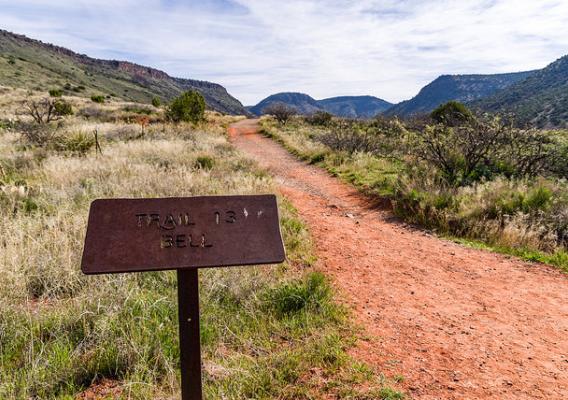 Bell Creek Trail on the Coconino National Forest