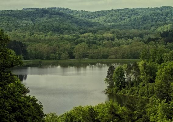 The Wayne National Forest