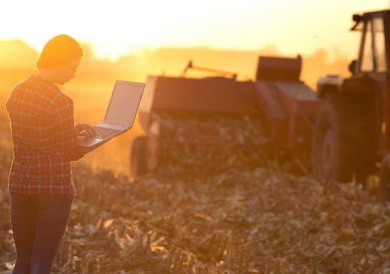 A farmer working on a computer