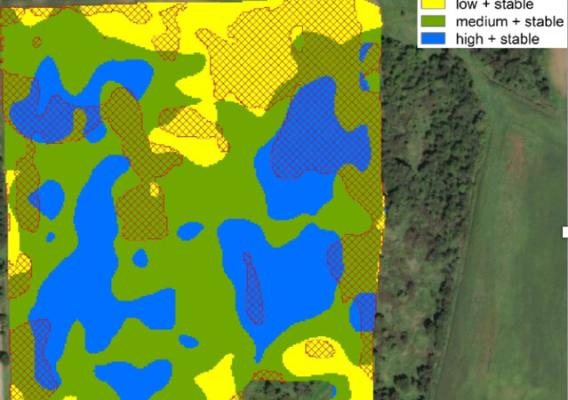 Yield stability in a field graphic