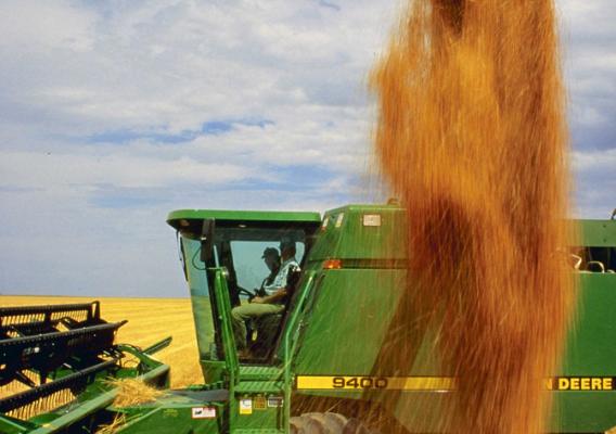 Wheat harvested at USDA's ARS Central Great Plains Research Station