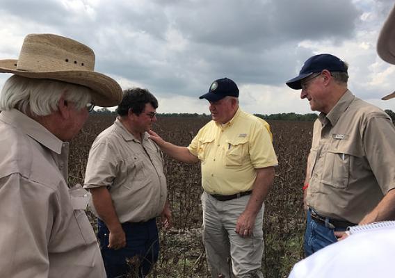 Agriculture Secretary Sonny Perdue visited Texas and saw first hand damage to Cotton fields and Cotton from Hurricane Harvey in Texas on Sept. 21, 2017