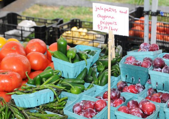 Produce on display at farmers’ market in Washington DC