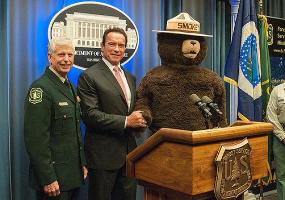 (left to right) Chief Tom Tidwell, former Governor Arnold Schwarzenegger and Smokey Bear at today’s ceremony. (Photo by Bob Nichols, USDA)