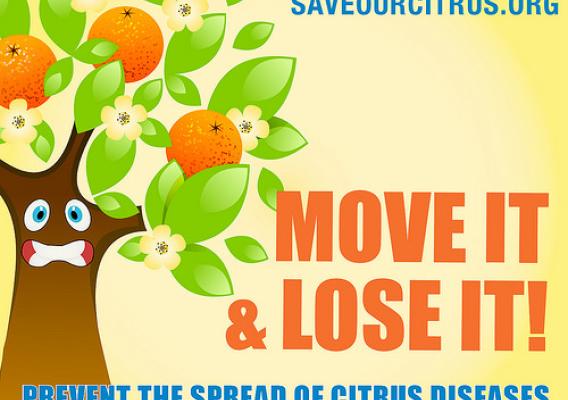 Help Save Our Citrus --  visit www.saveourcitrus.org or follow us on Facebook and Twitter.