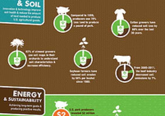 An infographic exploring water conservation efforts across American commodity production. AMS product. (Click to enlarge).