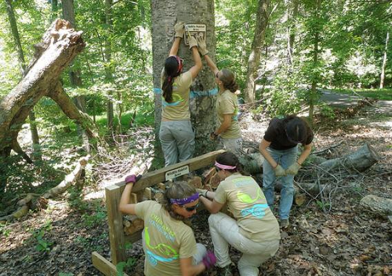 The Ohio River Foundation crewmembers Lydia Cook, Rose Guardino, Rose Johnson, Catherine Kagemann, Callie Schulenburg, and Brynne Taylor build a pollinator habitat. USFS Photo.