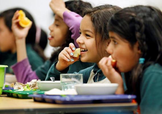 Children eating school meals