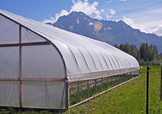 A high tunnel like this one in Alaska’s Matanuska-Susitna Valley lengthen the growing season for Alaska farmers.