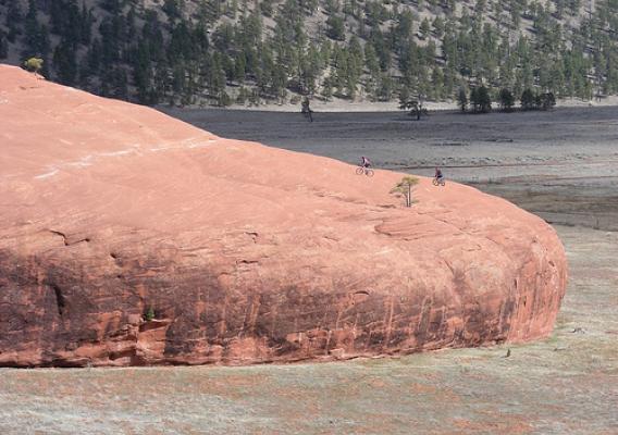 During the warmer months the Cibola National Forest has many mountain bike trails and riding areas such as the Big Rock area. The Zuni Mountain Trail Partnership proposes to develop a network of interconnected mountain bike and hiking trails in the Zuni Mountains. (Zuni Mountain Trail Partnership photo)