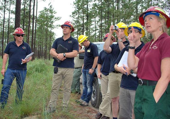 Debbie Casto, Forest Service fire management officer for the National Forests in Florida, discusses the precautions taken before conducting a prescribed burn near threatened and endangered species sites on the Apalachicola National Forest. The forest is home to several endangered species such as the red-cockaded woodpecker. (Forest Service photo by Susan Blake)