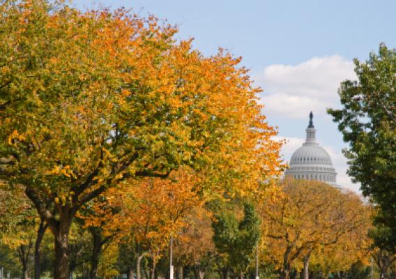 Washington, D.C. (Photo courtesy District Department of Transportation)