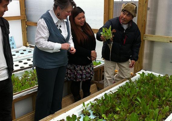 Deputy Secretary Merrigan surveys produce being grown by urban farmers in New Orleans.