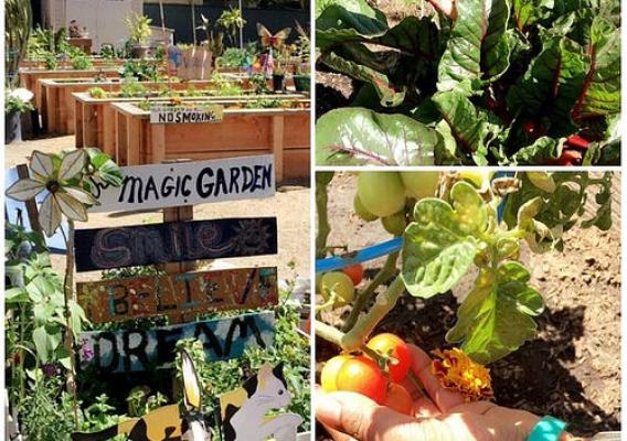 A collage of the Magic Garden