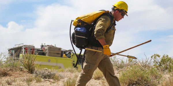 Firefighters carrying a fire shelter