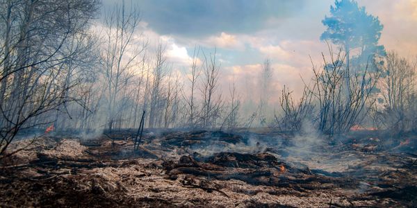 Photo of a wildland fire