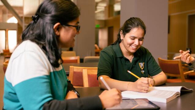 Read event details: USF Summer Bootcamp: How to Write your College Essay