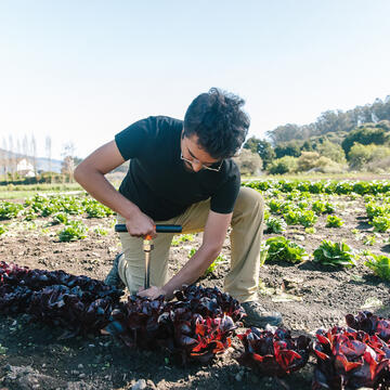 Worker planting crops at Star Route Farms