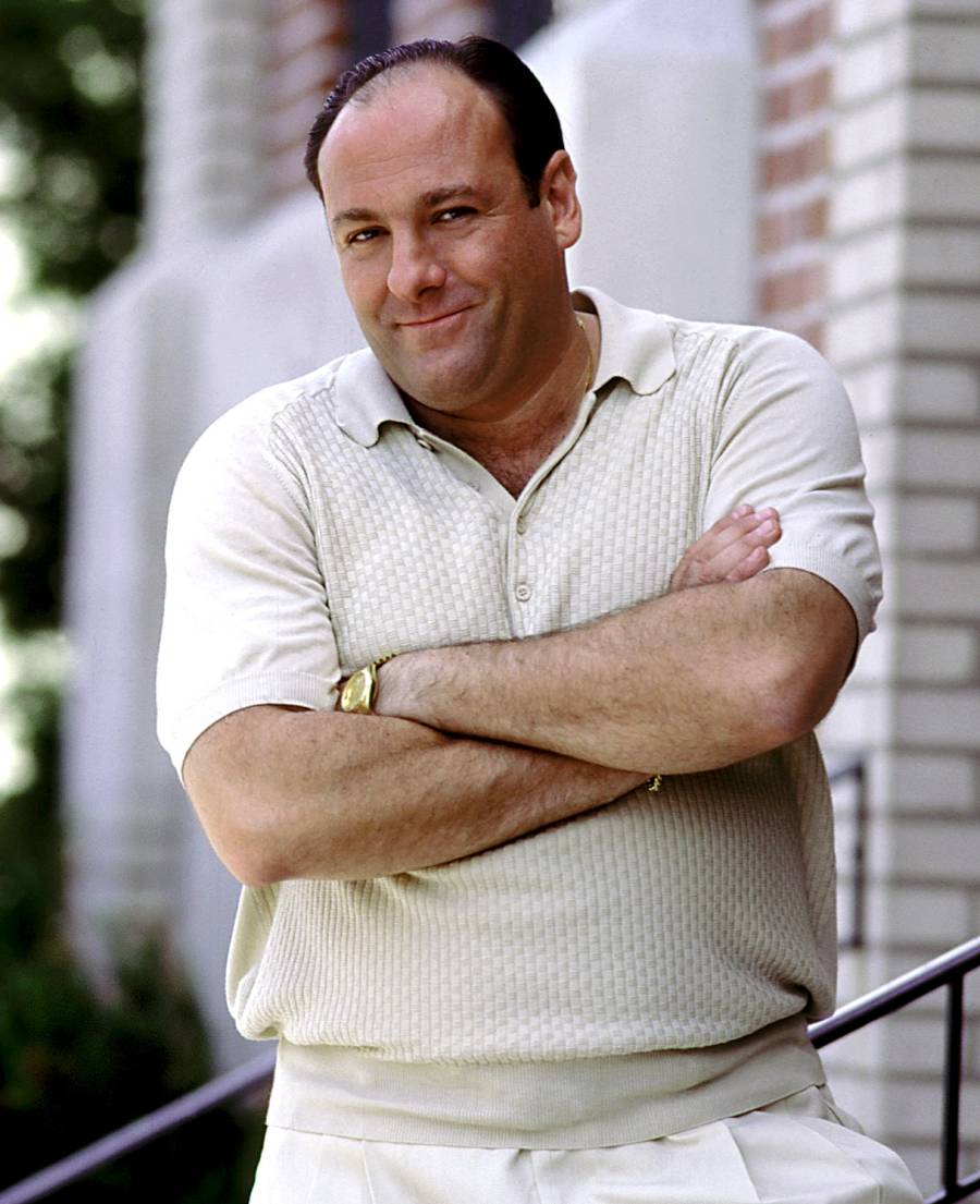 1402085426_james gandolfini zoom