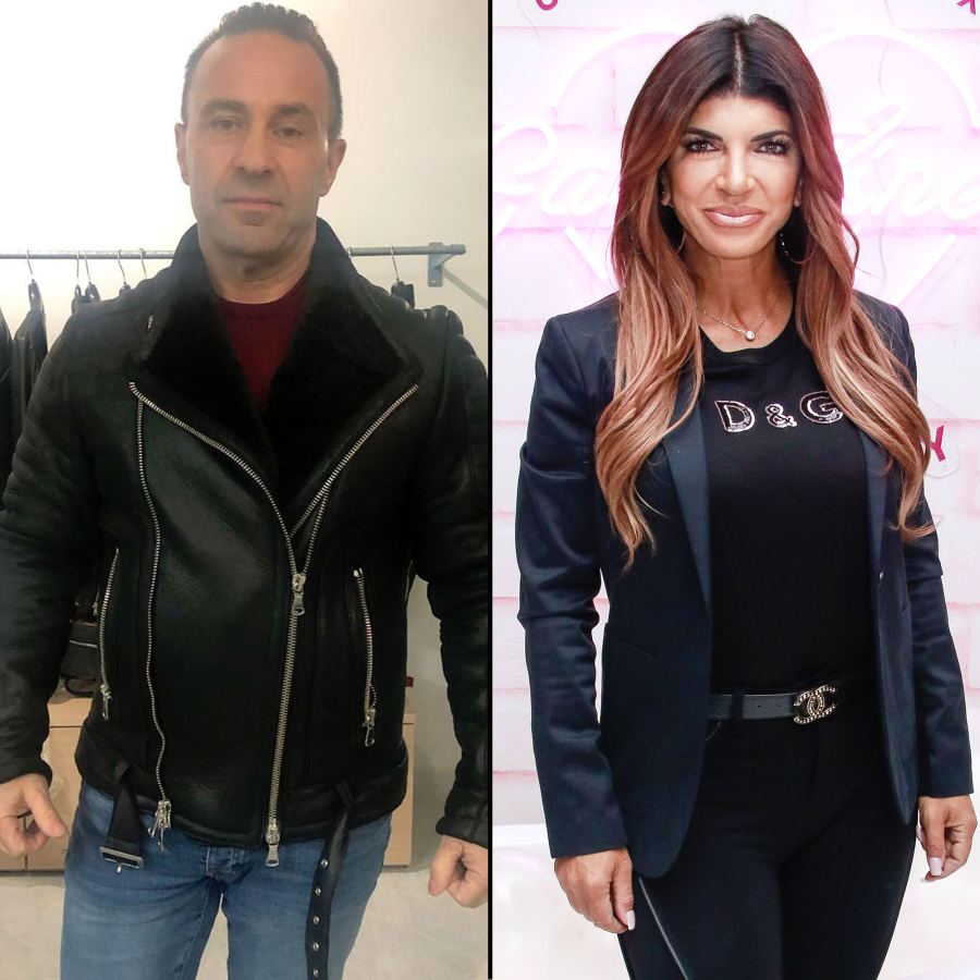 Loss of Deportation Appeal Teresa Giudice Joe Giudice Ups Downs